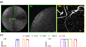 research projects for digital signal processing