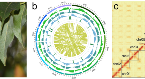 research topics related to plants