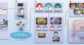 interesting diseases for research paper