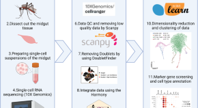 example of research proposal in zoology