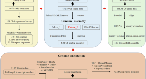 evolution research papers