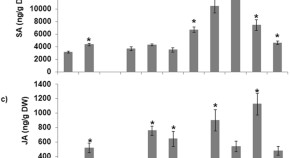 research paper on plant community