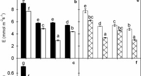 research paper on plant community