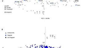 research paper on plant community