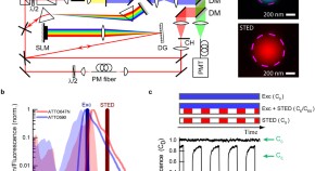 find physics research papers find physics research papers