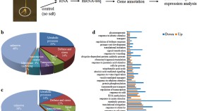 research paper on plant community