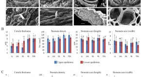 research paper on plant community