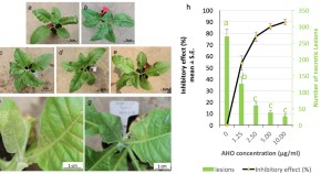 research paper on plant community