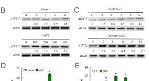 research paper on plant community