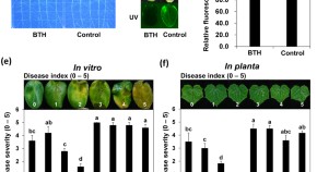 research paper on plant community