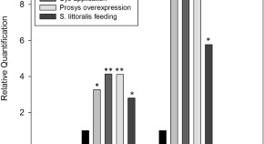 research paper on plant community