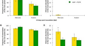 research paper on plant community