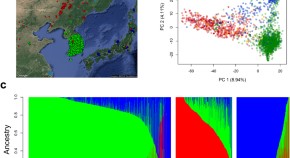 research paper on plant community