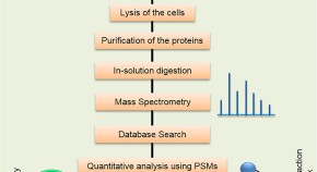 cell and molecular biology research articles
