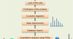 recent molecular biology research topics