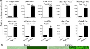 research paper of biochemistry