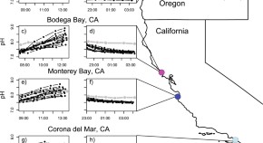 population ecology research papers