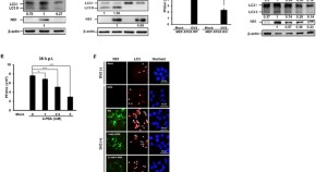 cell and molecular biology research articles