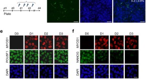 recent molecular biology research topics