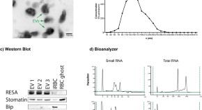 research paper of biochemistry