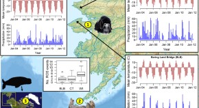 population ecology research papers