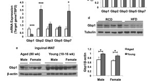 recent molecular biology research topics