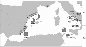 population ecology research papers