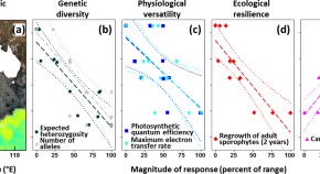 population ecology research papers