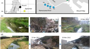 ecology for a research paper ecology for a research paper