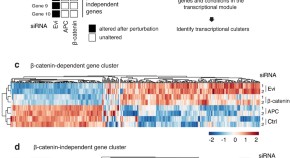 recent molecular biology research topics