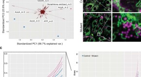 cell and molecular biology research articles