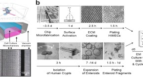 recent molecular biology research topics