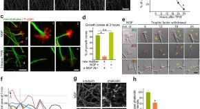 recent molecular biology research topics