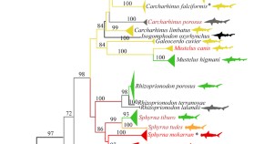 essay titles about ecology