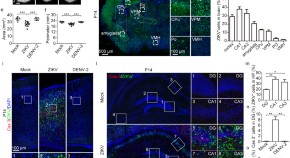 cell and molecular biology research articles