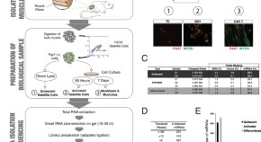 recent molecular biology research topics