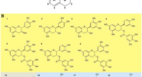 research paper of biochemistry