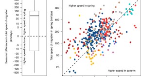 ecology research articles