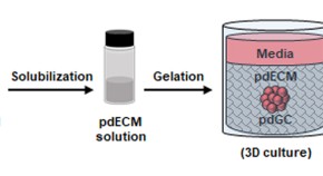 recent molecular biology research topics