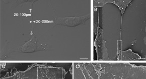 recent molecular biology research topics