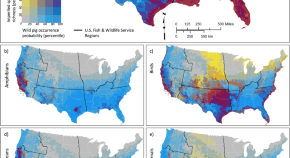 population ecology research papers