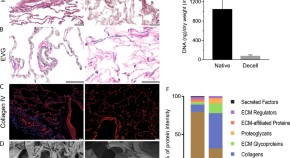 recent molecular biology research topics