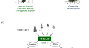 ecology for a research paper ecology for a research paper