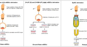 recent molecular biology research topics