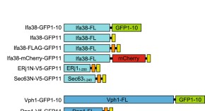 recent molecular biology research topics