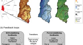 population ecology research papers