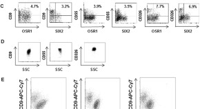 cell and molecular biology research articles