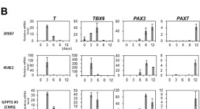 recent molecular biology research topics