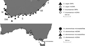 population ecology research papers