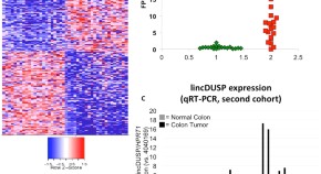 recent molecular biology research topics